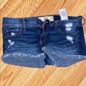 Hollister short